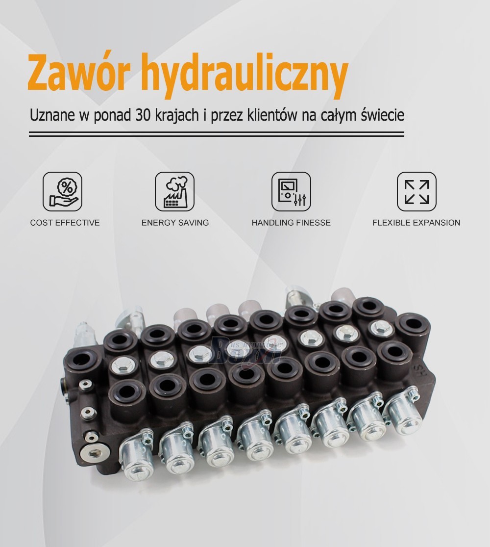 Custom OEM/ODM HSW50 8 Spool Monoblock Valve Private Label Service